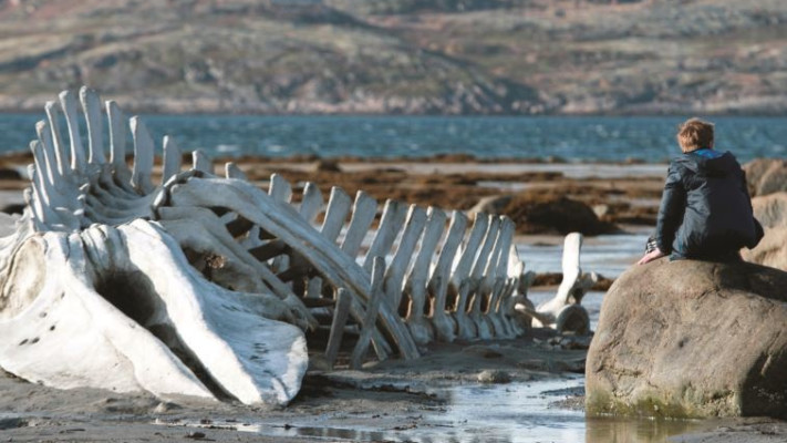 &quot;לויתן&quot;. צילום: יח&quot;צ