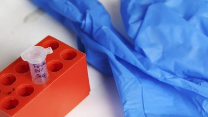 מעבדה, אילוסטרציה