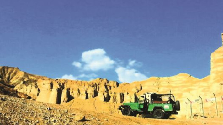 מועצה אזורית תמר