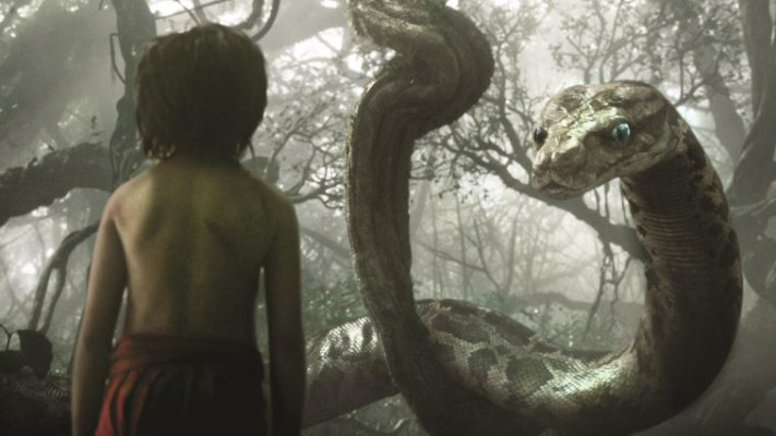 ספר הג'ונגל. צילום: יח&quot;צ