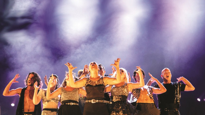 אנסמבל ציפורלה. צילום: יחצ