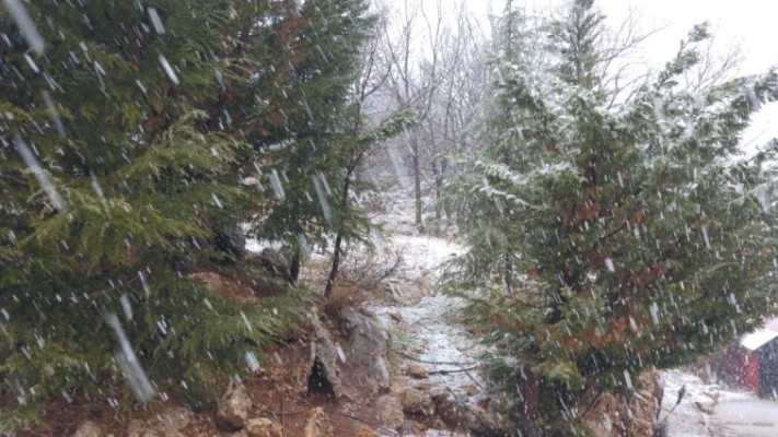 פתיתי שלג ראשונים בחרמון. צילום: אתר החרמון