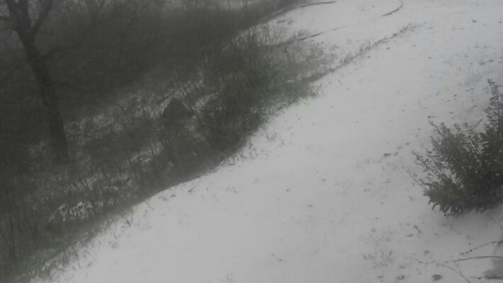 מורדות הרי המירון מושלגים. צילום: עיריית צפת