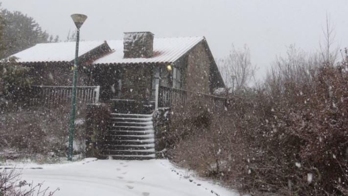 שלג במרום גולן. צילום: ג'ואן קליין