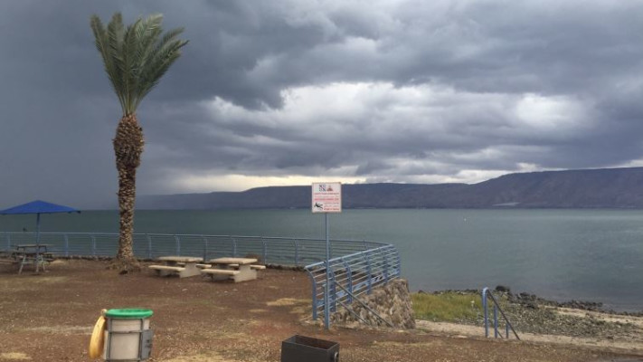 חוף צינברי בכנרת. צילום: יוני דותן, רשות הכנרת