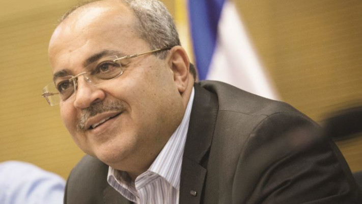 מזהיר מההשלכות. טיבי. צילום: הדס פרוש , פלאש 90