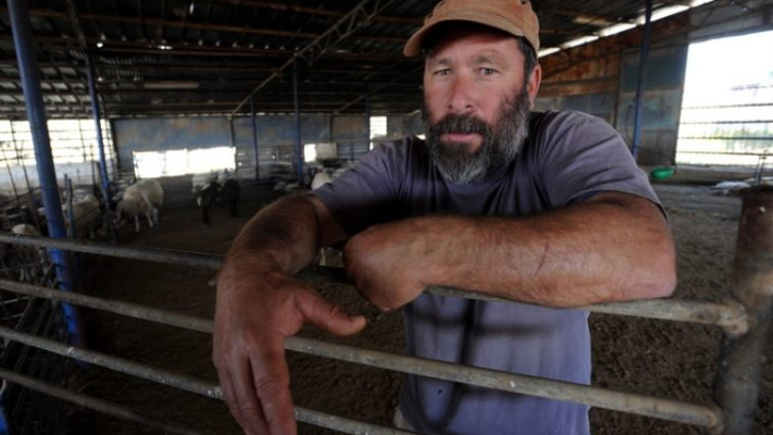 מקרה דומה. שי דרומי. צילום: גילי יערי, פלאש 90