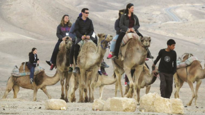 טיול גמלים, כפר הנוקדים. צילום: מיטל שרעבי