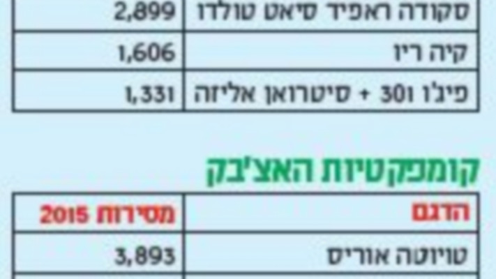 מקור הנתונים: דוח הרישוי של איגוד יבואני הרכב