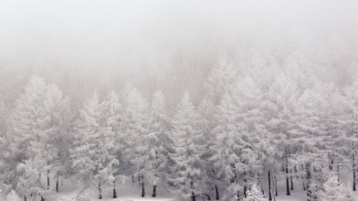 מסלולים מלהיבים. אתר הסקי ססטיירה באיטליה