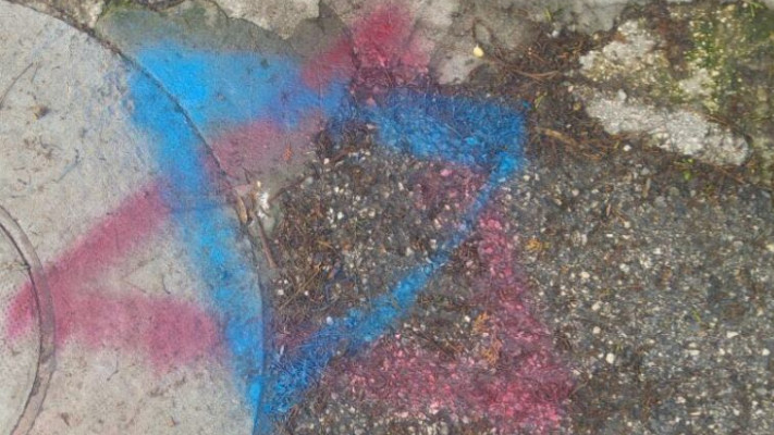 מגן דוד שרוסס מחוץ לביתו של פרופ' יעקב מלכין