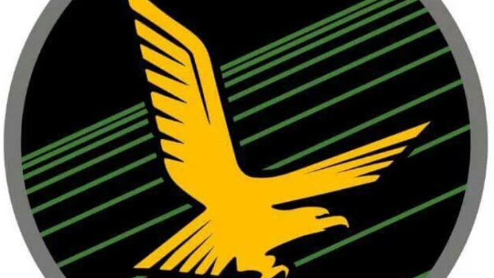 סמל טייסת &quot;האדיר&quot;. צילום: דוברות חיל האויר