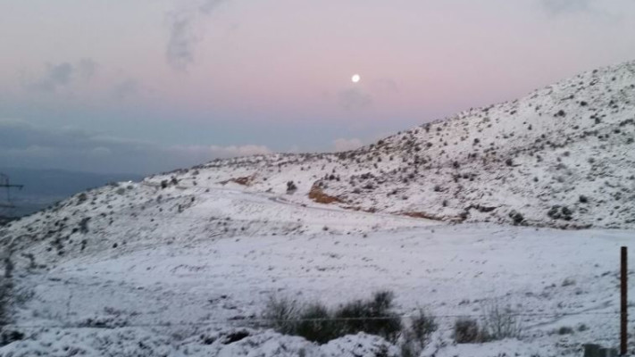 הגולן לבן. צילום: מועצה אזורית גולן