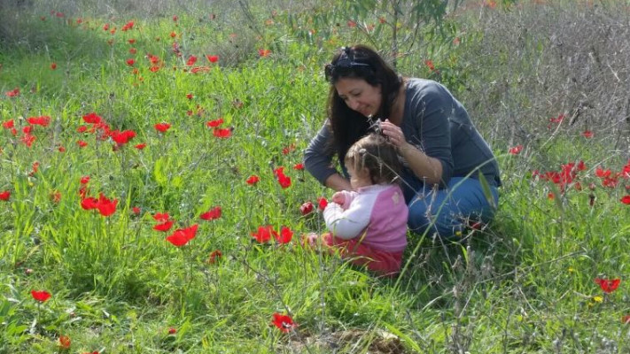 מטיילים במסגרת פסטיבל &quot;דרום אדום&quot;. צילום: קק&quot;ל