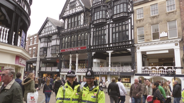 בתי העץ של צ'סטר. צילום: תלמה אדמון