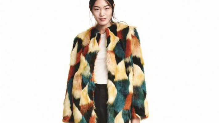 מעיל פרווה של H&amp;M. מחיר: 599