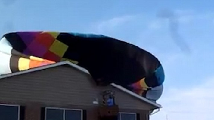 התרסק מיד לאחר המראתו. צילום: דיילי מייל