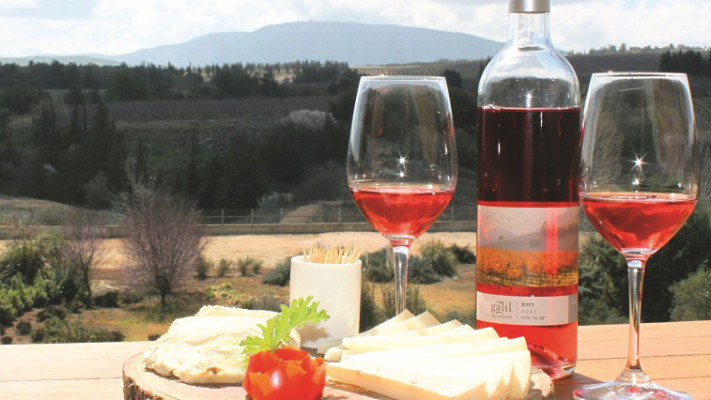יין הרי הגליל. צילום: דרור מילר, יח&quot;צ
