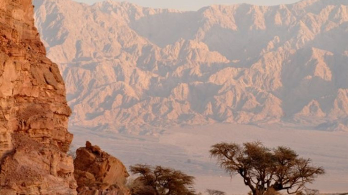 &quot;לא תהיה כאן בנייה בשום צורה&quot;. צילום באדיבות העמותה להצלת עמק ססגון