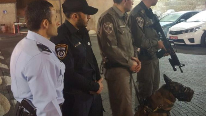 לוחמי ושוטרי מג&quot;ב בשער שכם עם כלב השיטור. צילום:חטיבת דובר המשטרה