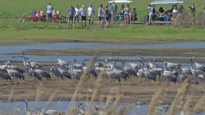 מטיילים באגמון החולה. צילום:יוסי אשבול