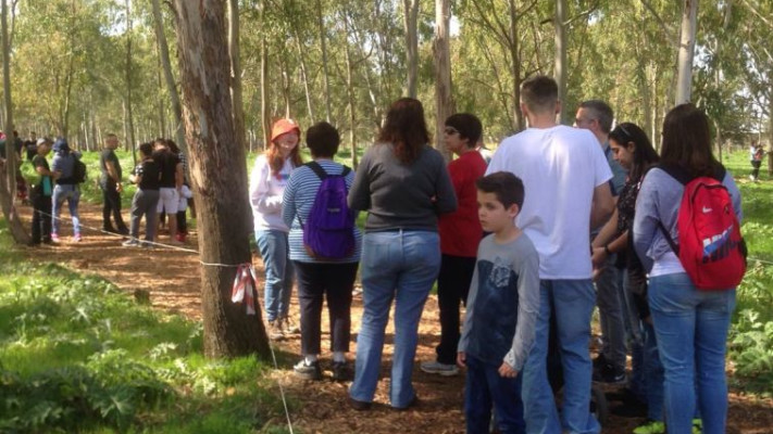 פעילות ביער כלניות הסרגל. צילום: אתי אזולאי, קק&quot;ל