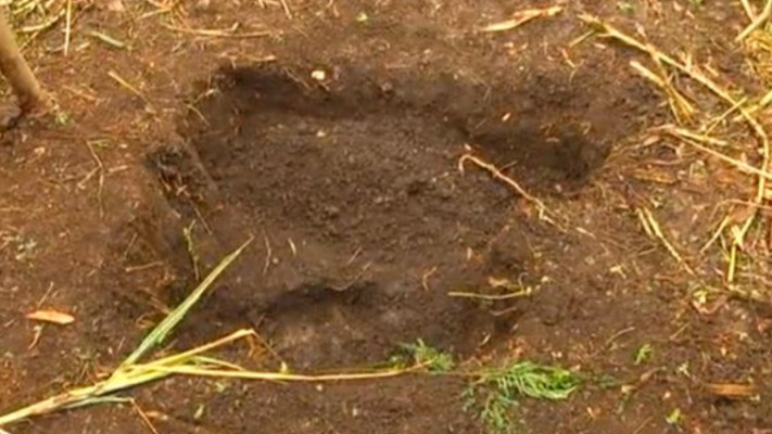 הקבר המאולתר בו נמצאה הגופה. צילום: מתוך &quot;המירור&quot;