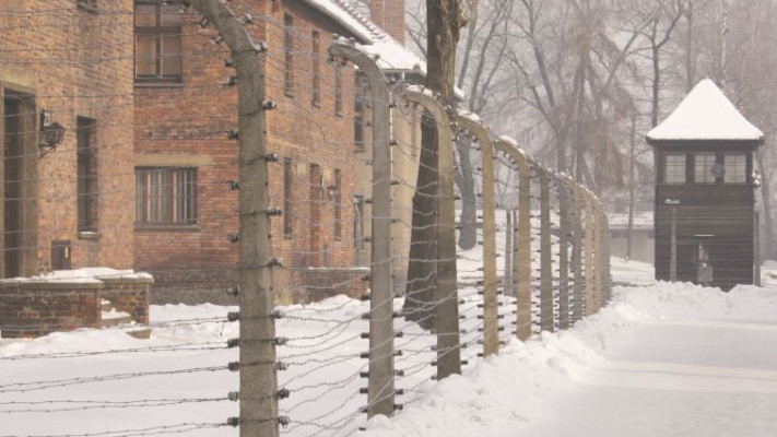 אושוויץ. צילום: יצחק הררי, פלאש 90 