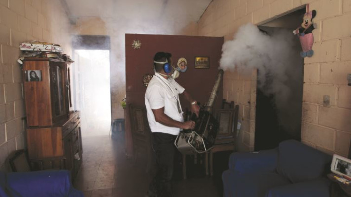 פעולות חיטוי בניסיון להיאבק בנגיף הזיקה. צילום: רויטרס