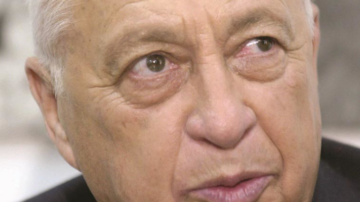 אריאל שרון. צילום: ראובן קסטרו