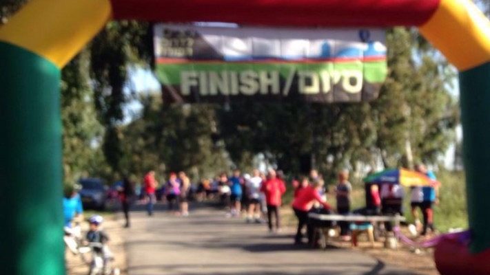 אלפי מטיילים הגיעו ליער הגלבוע לצפות באירוסים. צילום: קק&quot;ל