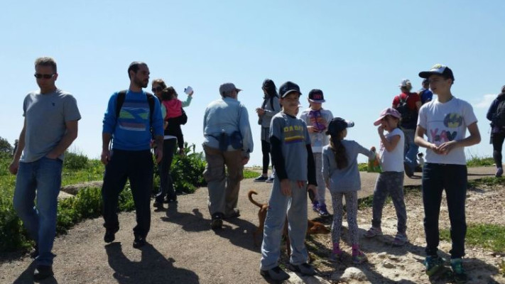 אלפי מטיילים הגיעו ליער הגלבוע לצפות באירוסים. צילום: קק&quot;ל