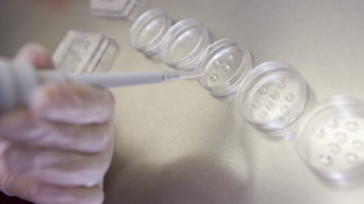 חוקרת מפרה ביציות במעבדה