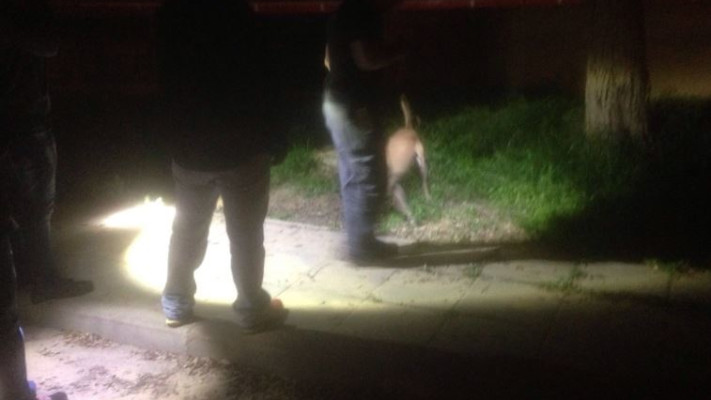 זירת הרצח בבאר שבע. צילום: דוברות המשטרה