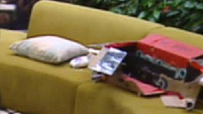 הנזק שעשה שי חי ליצירה של אור. צילום מסך