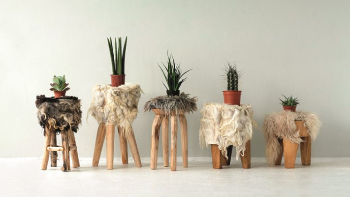 The Soft World. Courtesy: Van Soest &amp; Van Krimpen Photography