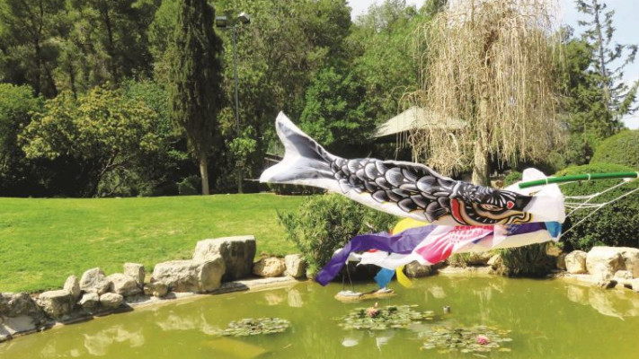 הגן היפני בקיבוץ חפציבה. צילום: מיטל שרעבי