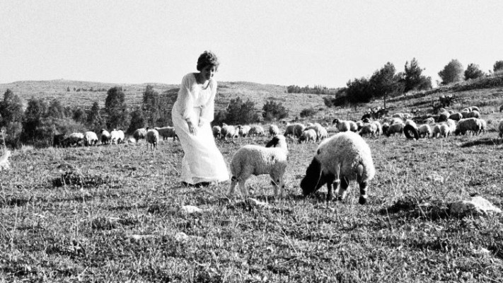 חווה אלברשטיין. צילום: ג'ראר אלון