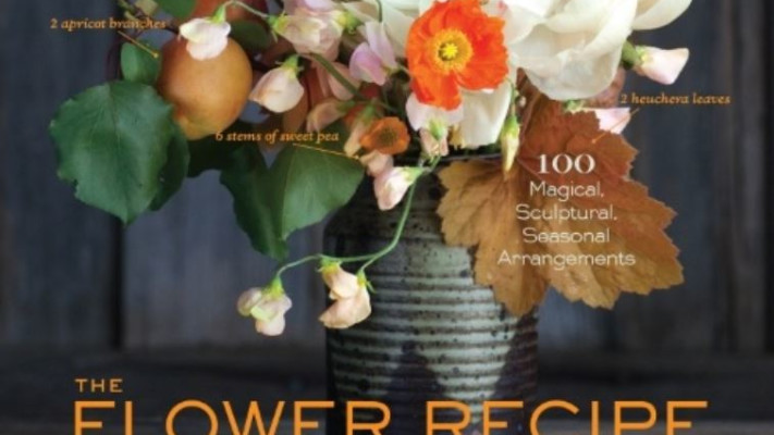 ספר של סטודיו Choo. צילום: יח&quot;צ