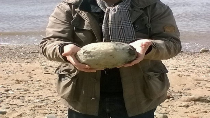 גארי והקיא, יספיק לקרוואן? צילום: אתר המירור