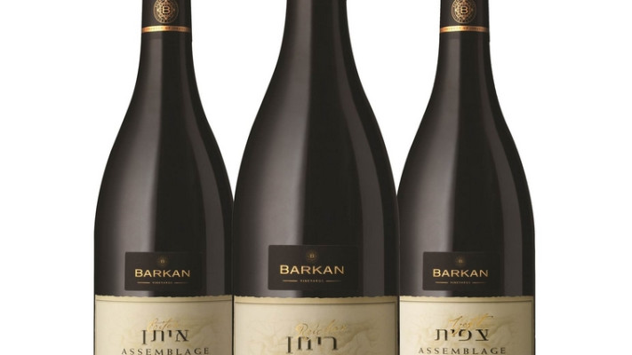 יין יקב &quot;ברקן&quot;. צילום: יח&quot;צ