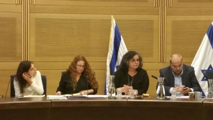 הדיון בוועדה היום. צילום: דיון על הפרדת היולדות בוועדה לקידום מעמד האישה