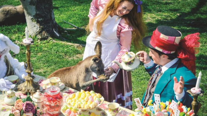 אליס בארץ הפלאות בגן גורו