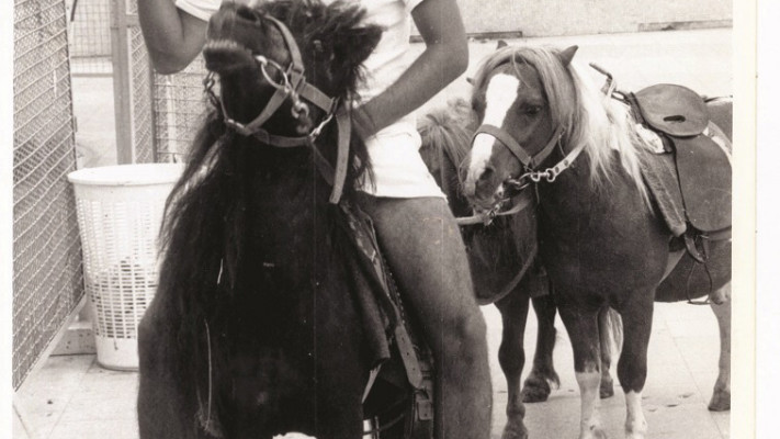 דנטר והחתול שמיל, משהו לא רגיל. צילום: עדי אבישי