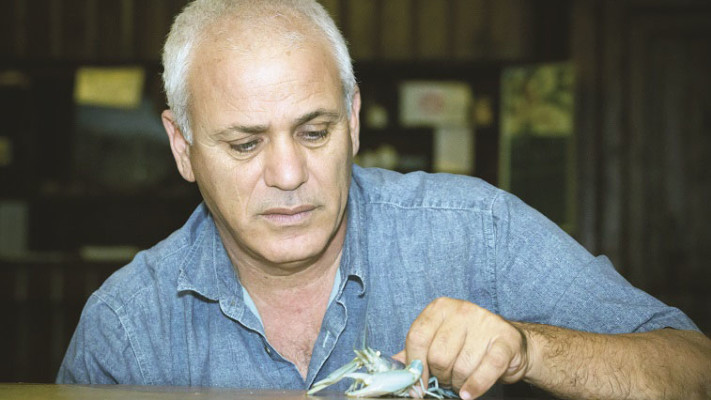 קפסולות הסידן שלו הצילו את רימון, יוסי בן. צילום: דיאגו מיטלברג