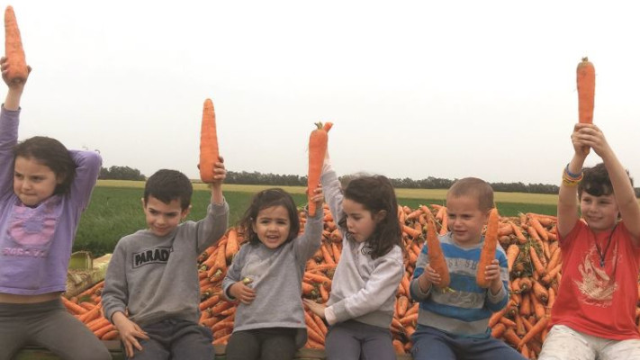 משוך בגזר. פסחלקאי. צילום: יח&quot;צ