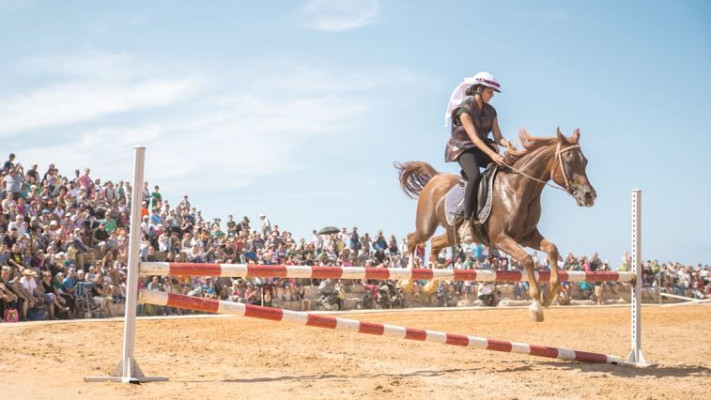 קיסריה החדשה. סוסים בהיפודרום. צילום: יחצ