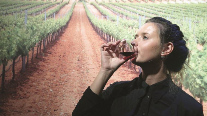 תערוכת יין קשר בבנייני האומה. צילוםף מירי צחי