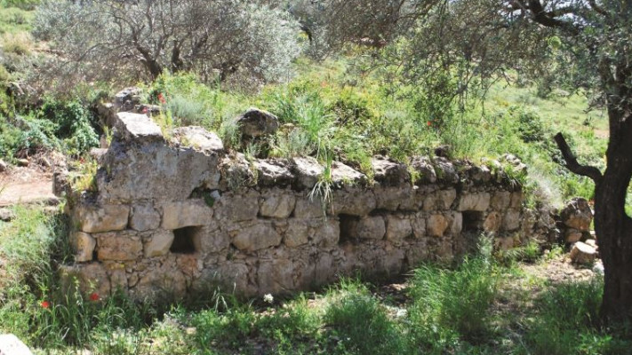 הנוף הנצפה בשביל. מתאים גם לילדים. צילום: מיטל שרעבי