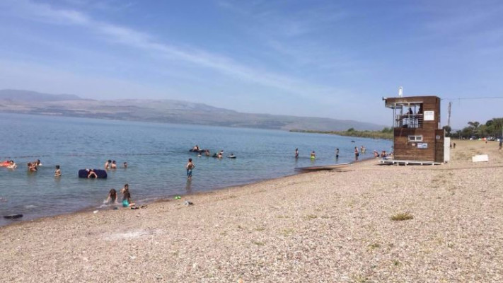 חופי הכנרת לפני שהנופשים פקדו את החופים. צילום: רשות הכנרת